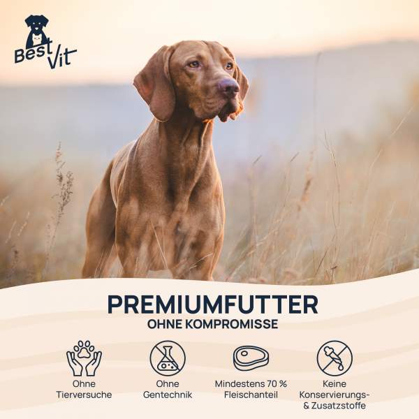 Preview: BestMix Hund